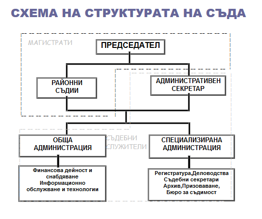 Схема на организационната структура на РС В. Преслав 